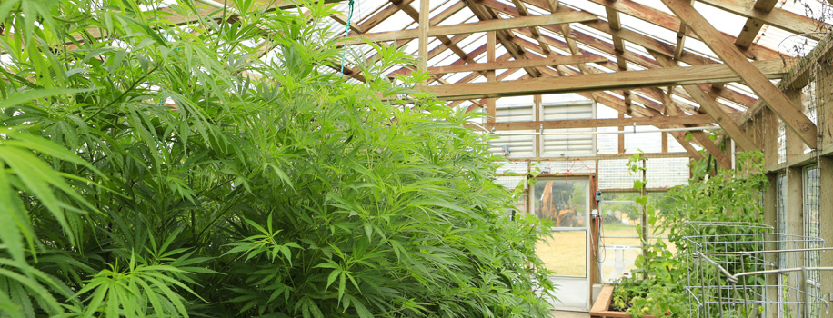 Security Solutions for Apartments in Midland, TX